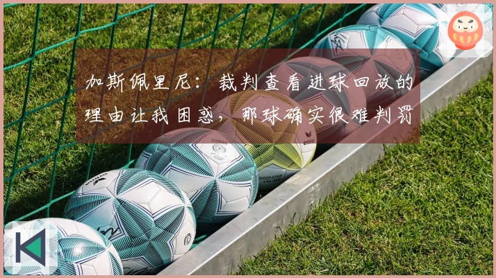 加斯佩里尼：裁判查看进球回放的理由让我困惑，那球确实很难判罚。